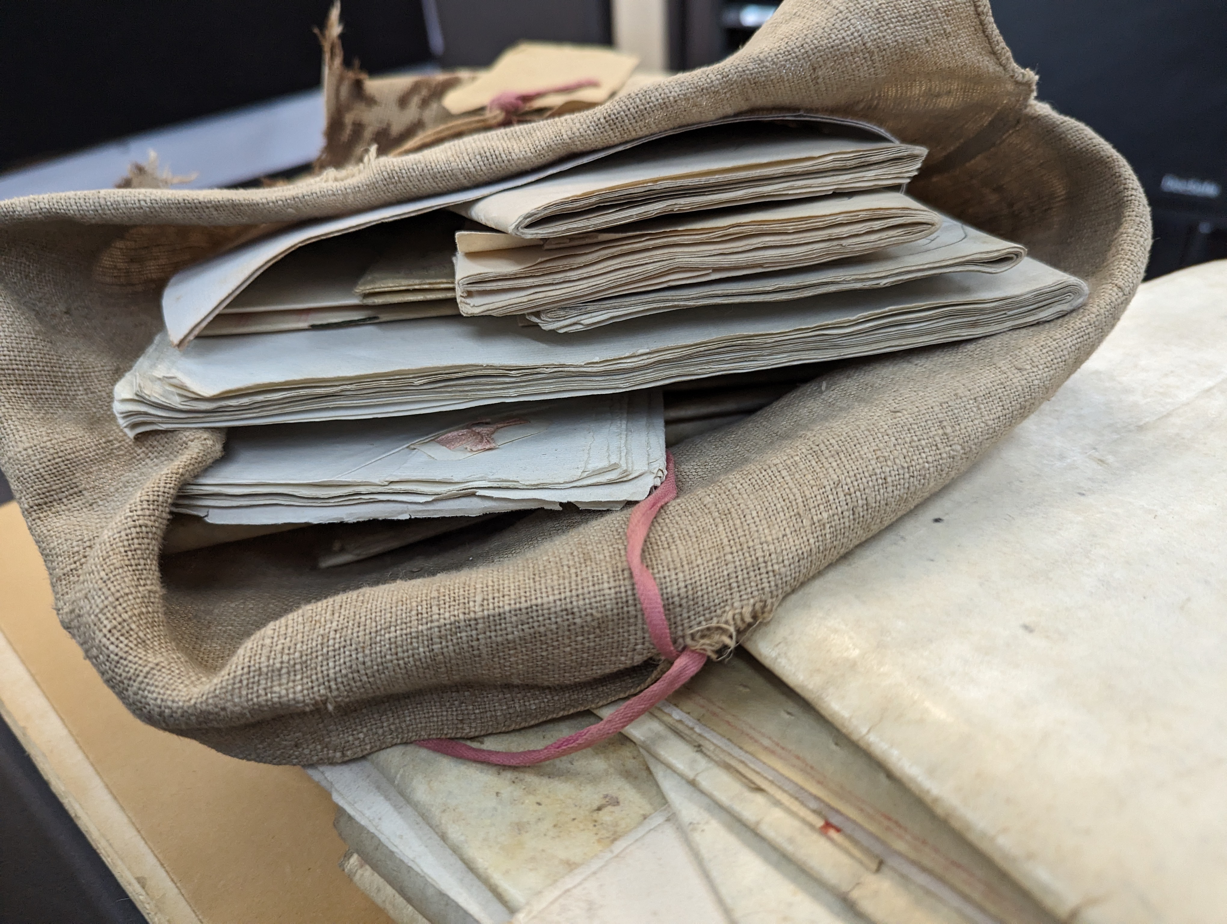 Professional heritage and archival digitisation